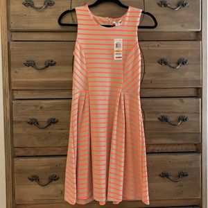 NWT BAR III Fit and Flare Dress With Neon Stripe